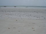   : Zanzibar 2011